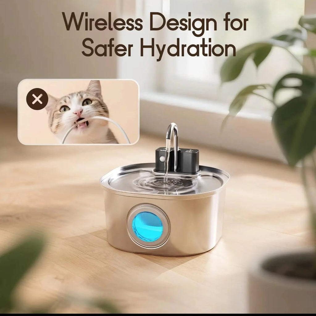 Fontaine a eau pour chat et chien